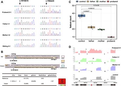 Novel Biallelic Variant in the BRAT1 Gene Caused Nonprogressive Cerebellar Ataxia Syndrome